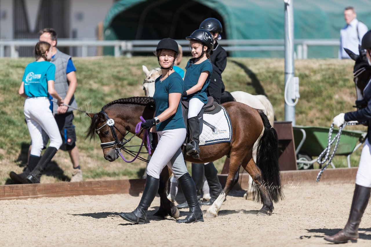 Bild 1 - Pony Akademie Turnier